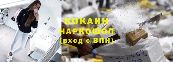 мдпв Магас