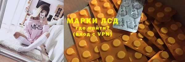 spice Липки