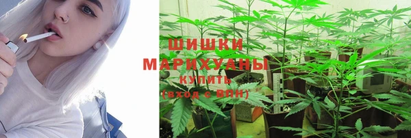 мдпв Магас